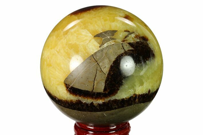 Polished Septarian Sphere - Madagascar #154130